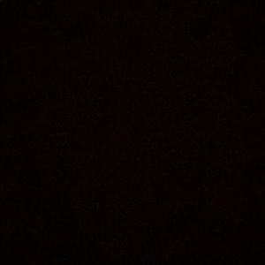 Meet your Posher, Nelly